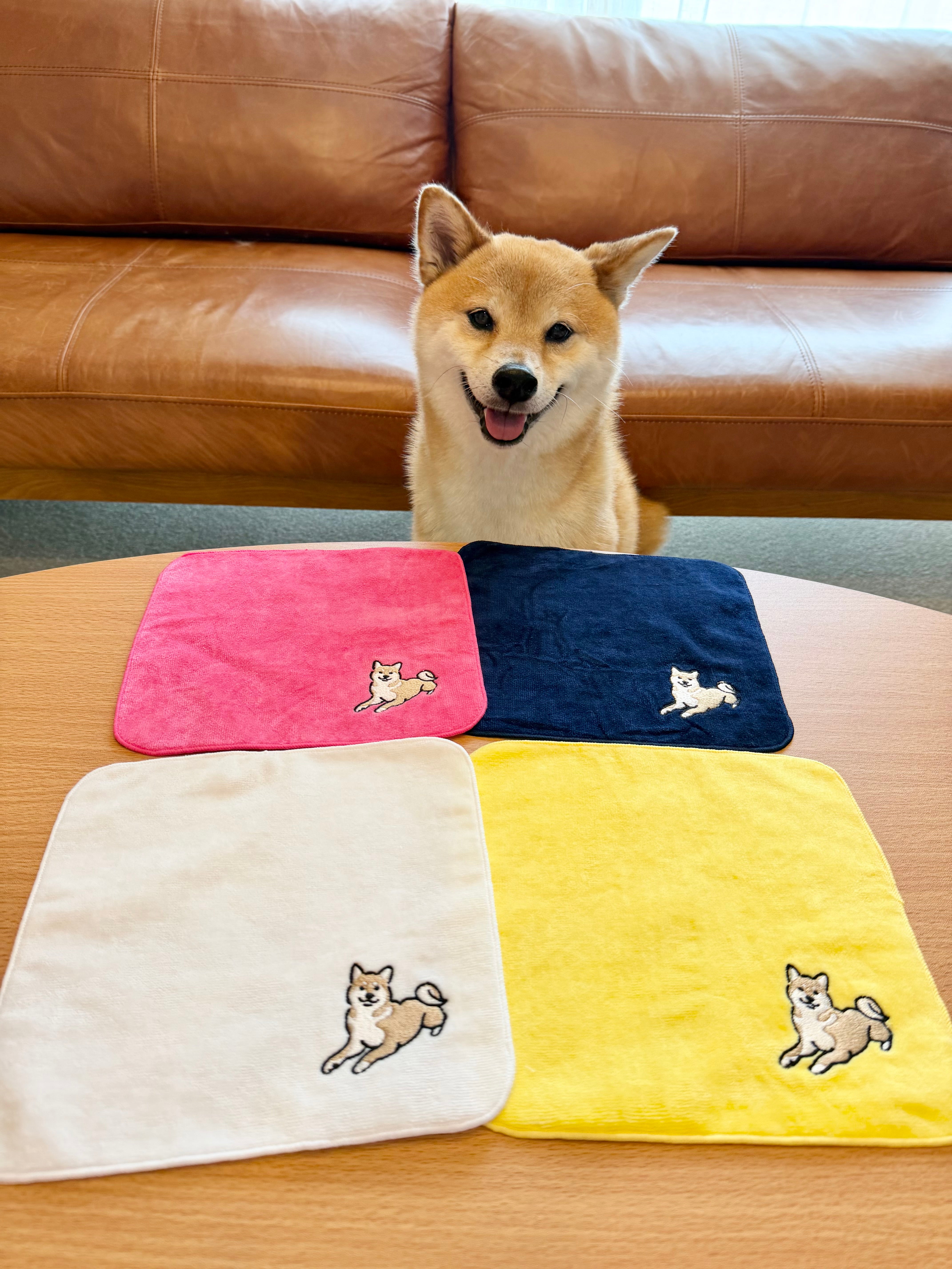いつでも富くんと。ハンカチ(※購入特典付き)