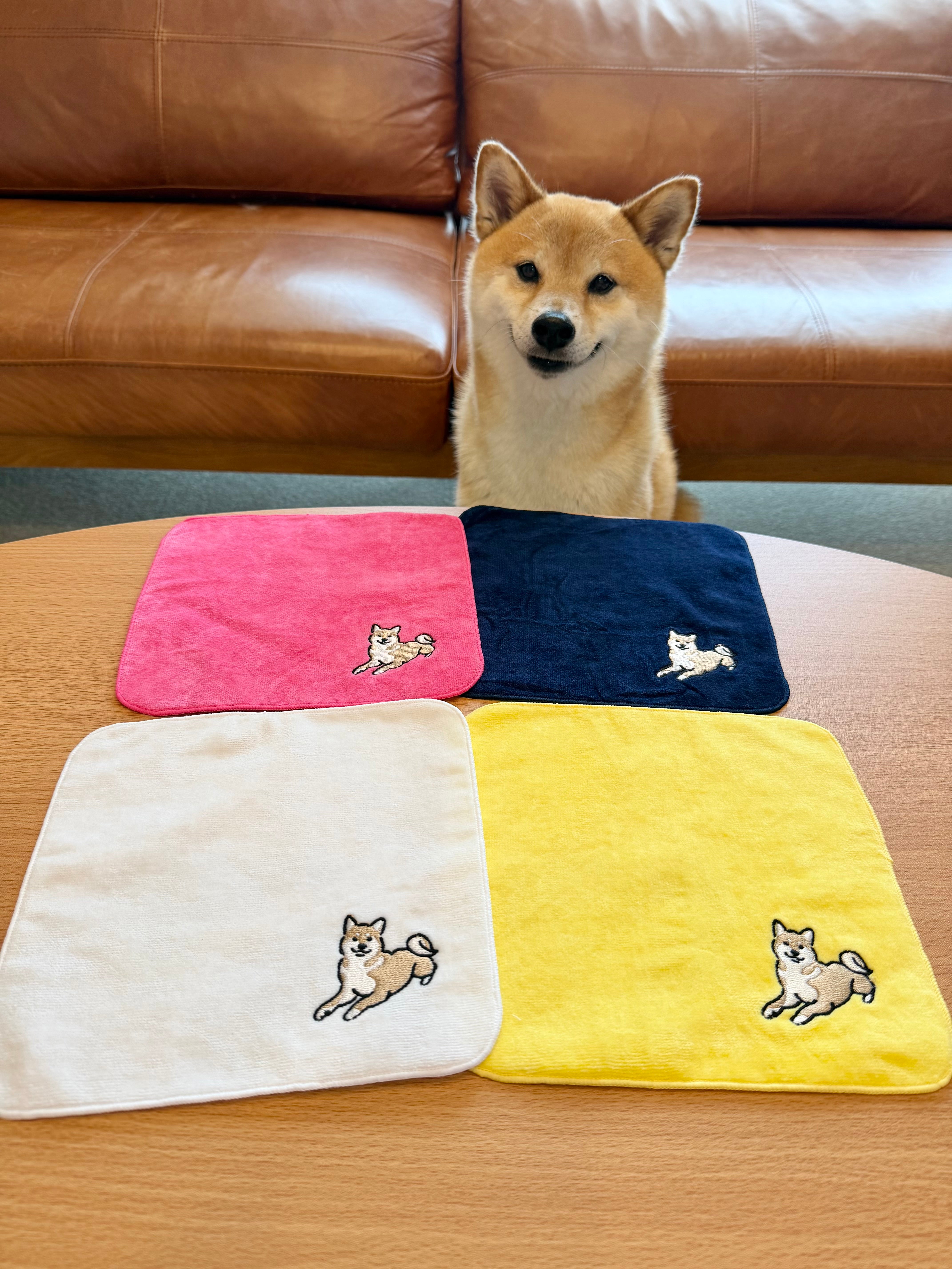 いつでも富くんと。ハンカチ(※購入特典付き)
