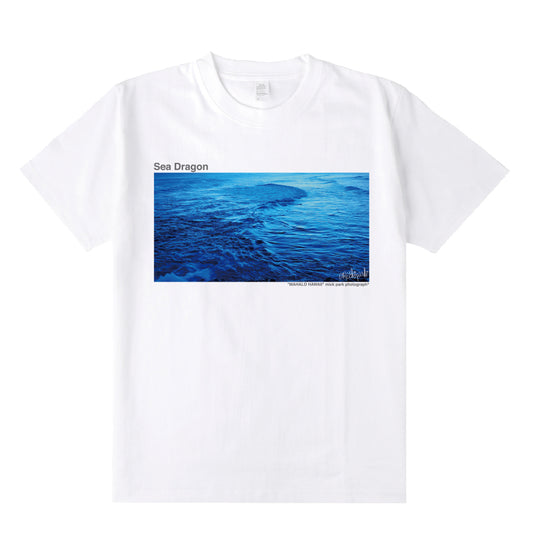 Sea Dragon T-Shirt